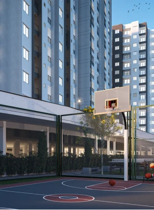Basketball Court